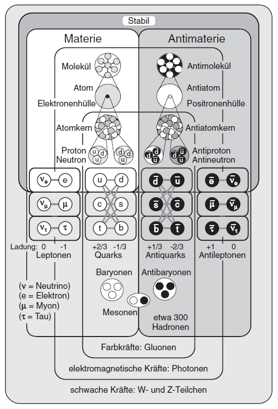 Standardmodell der Elementarteilchen (beste Darstellung)